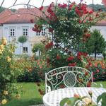 Musik im Rosengarten Pitten