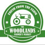 Kenny Karr Live @ The Woodlands Farmer's Market