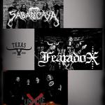 Texas Longhorn Metalnight