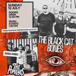 The Black Cat Bones Live at the Troyeville 
