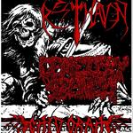 VIOLATOUR - HAMILTON - DOORS PUB