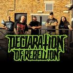 Declaration Of Rebellion