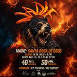NADIE EN VIVO: Sta Rosa de Osos, Ant. Col