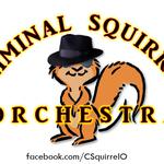 Criminal Squirrel Orchestra at Port of Anacortes Summer Concert