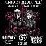 ÆNIMALS DECADE[NCE]