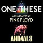 One Of These - A Celebration Of Pink Floyd: Animals Tour