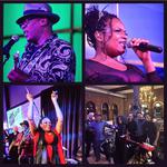 Dave Macklin Band live at Bonnet Shores