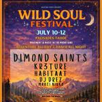 Wild Soul Festival 2026