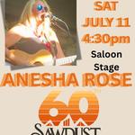 Sawdust Art Festival 