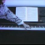 Emily Wells - Mirror Father - a workshop performance