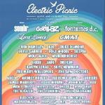 Electric Picnic 2026