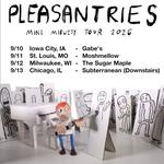 Pleasantries Live At Moshmellow