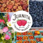 Fae Sings at the Juanita Friday Market