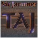 Mr Jammer