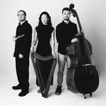Rock City Falls Trio at the Topos Music Festival 2026