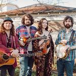 East Nash Grass High-octane Bluegrass