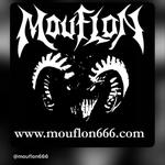 Mouflon