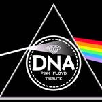 DNA  @ 26^ MAR 80 FESTIVAL