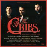 The Cribs at The Triffid