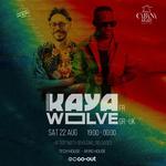 KAYA and Wolve Takeover 