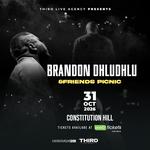Brandon Dhludhlu & Friends Picnic