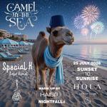 Camel by the Beach / Sound Of Dunes