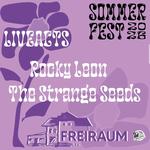 Sommerfest