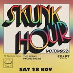 Skunkhour - Back to Basics tour