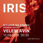 Situace na zámku - divadelní festival