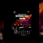 Chasing Daylight Tour-Shiverwood Shade(Live Jam)