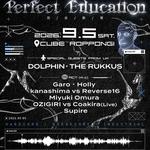Perfect Education