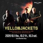 YELLOWJACKETS
