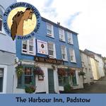 Howlin' in The Harbour Inn, Padstow