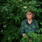 Lina Nyberg - Present