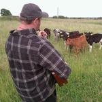 Roughly Acoustic