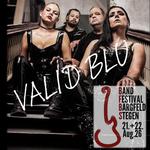 Bandfestival Bargfeld-Stegen 2026