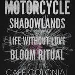 Life Without Love