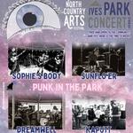 Punk In The Park