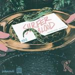 Surfer Blood @ Crowbar