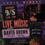 Live Music with David J. Brown @ Lucid Winery