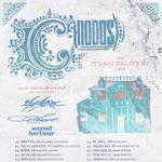 The It's Not You, It's Me Tour
