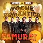 Una Noche Romántica 