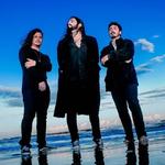 Shark Metal - Vampiros Tropicais