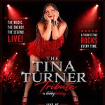 The Tina Turner Tribute featuring Debby Holiday