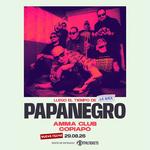 PAPANEGRO EN COPIAPÓ