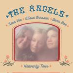 'The Angels' Live on Tour! In Whitehorse