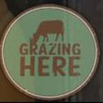 Luke Morgan - Full Band LIVE at Grazing Here Peachtree City GA