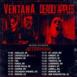 Saints of Sickness Tour