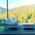 The Six Senses Retreat Topanga
