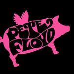 Pete Floyd at the Art & Pumpkin Fest